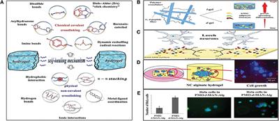 Insight Into the Current Directions in Functionalized Nanocomposite Hydrogels